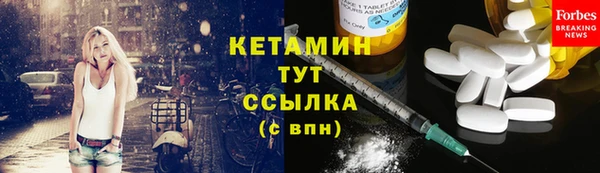 прущие крисы Бородино