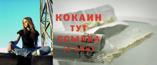 прущие крисы Бородино