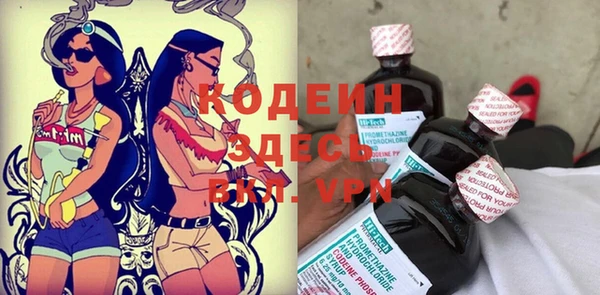 прущие крисы Бородино